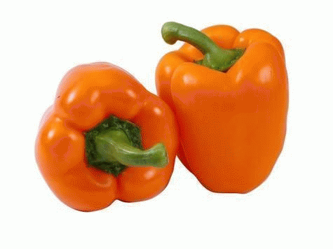 Greenhouse Peppers  orange bell pepper Full-Size Picture